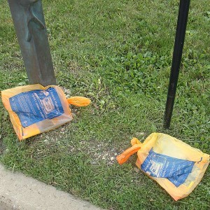 phone books littering the yard